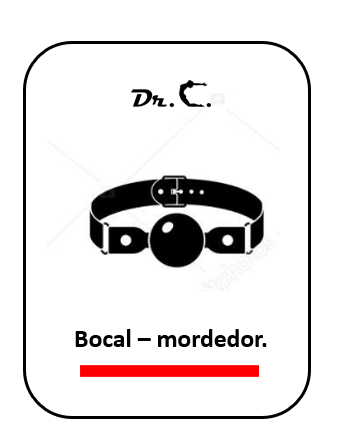 Juegos BDSM carta bocal